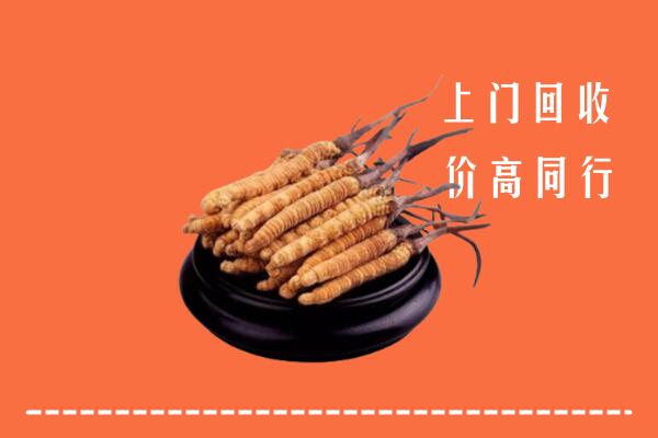 附近收购：郴州市桂阳县冬虫夏草回收多少钱每克