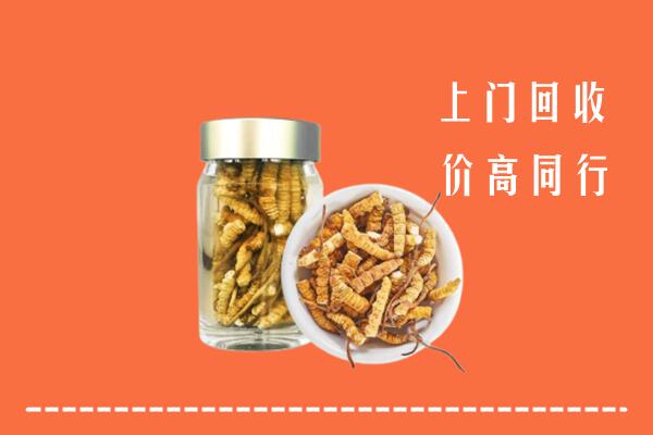 附近收购：郴州市桂阳县回收冬虫夏草